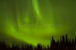 GZ_20140904_MG_5404.jpg